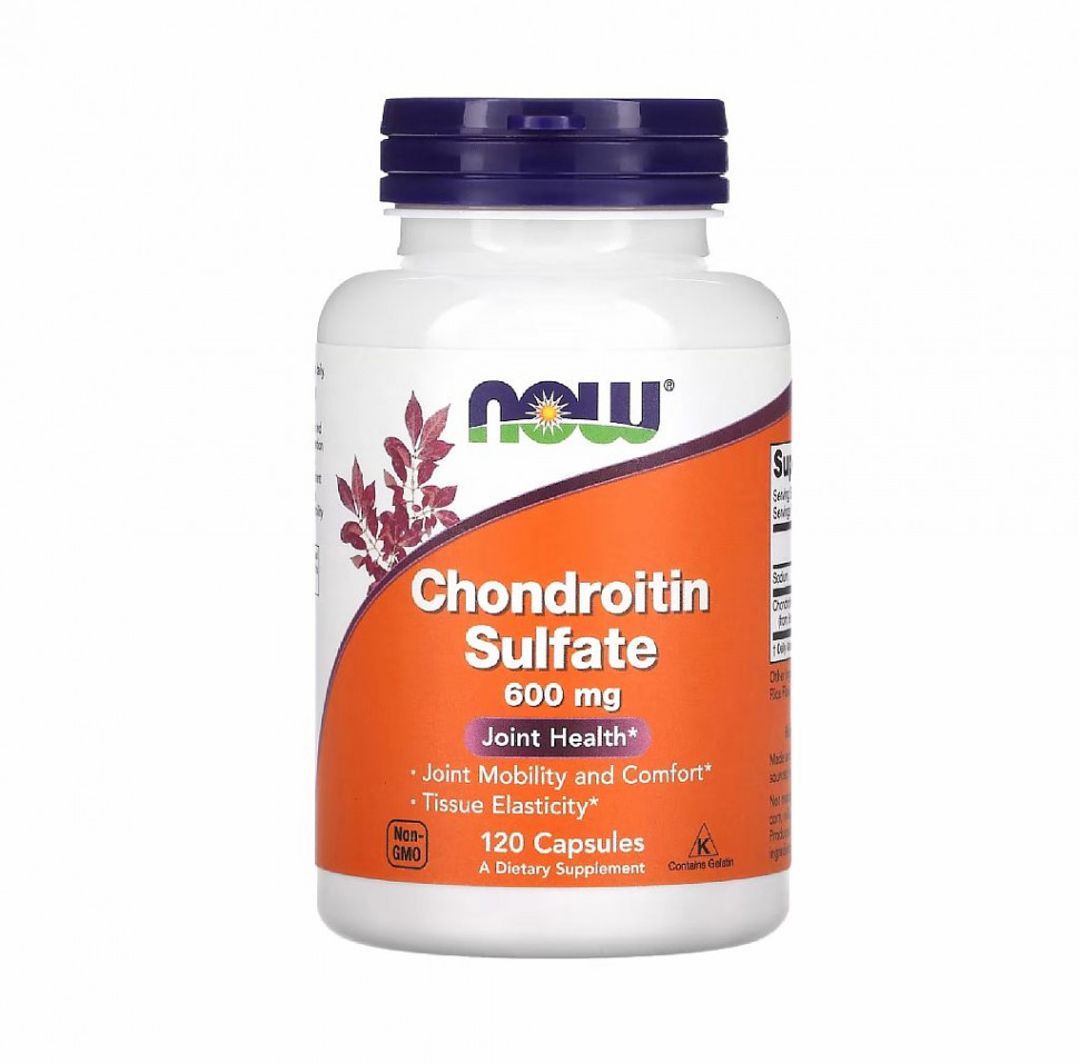 #NOW Chondroitin Sulfate 600mg 120 Capsules фото 1 — 65fit