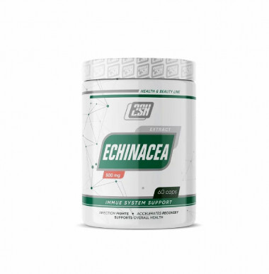 # 2SN Echinacea 500mg 60kap — 65fit