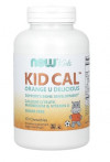 #NOW Kid-Cal Chewable Calcium 100 loz фото 2 — 65fit
