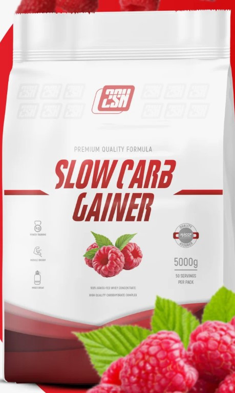 #2SN Slow Carb Gainer 1000g Малина фото 1 — 65fit