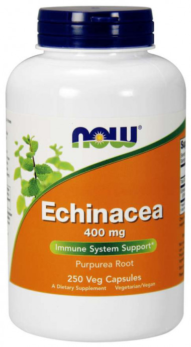 NOW Echinacea Root 400 mg 250 Veg Capsules — 65fit