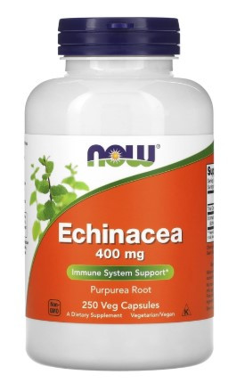 NOW Echinacea Root 400 mg 250 Veg Capsules — 65fit