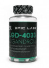 #Epic Labs Ligandrol LGD-4033 60caps фото 2 — 65fit