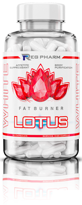 Lotus White 90капс, Reg Pharm — 65fit