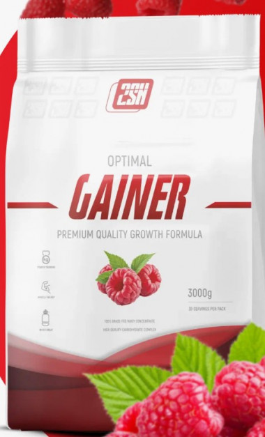#2SN Gainer 1000g Малина — 65fit